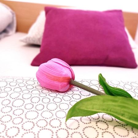 Apartment Katica Мостар Екстериор снимка