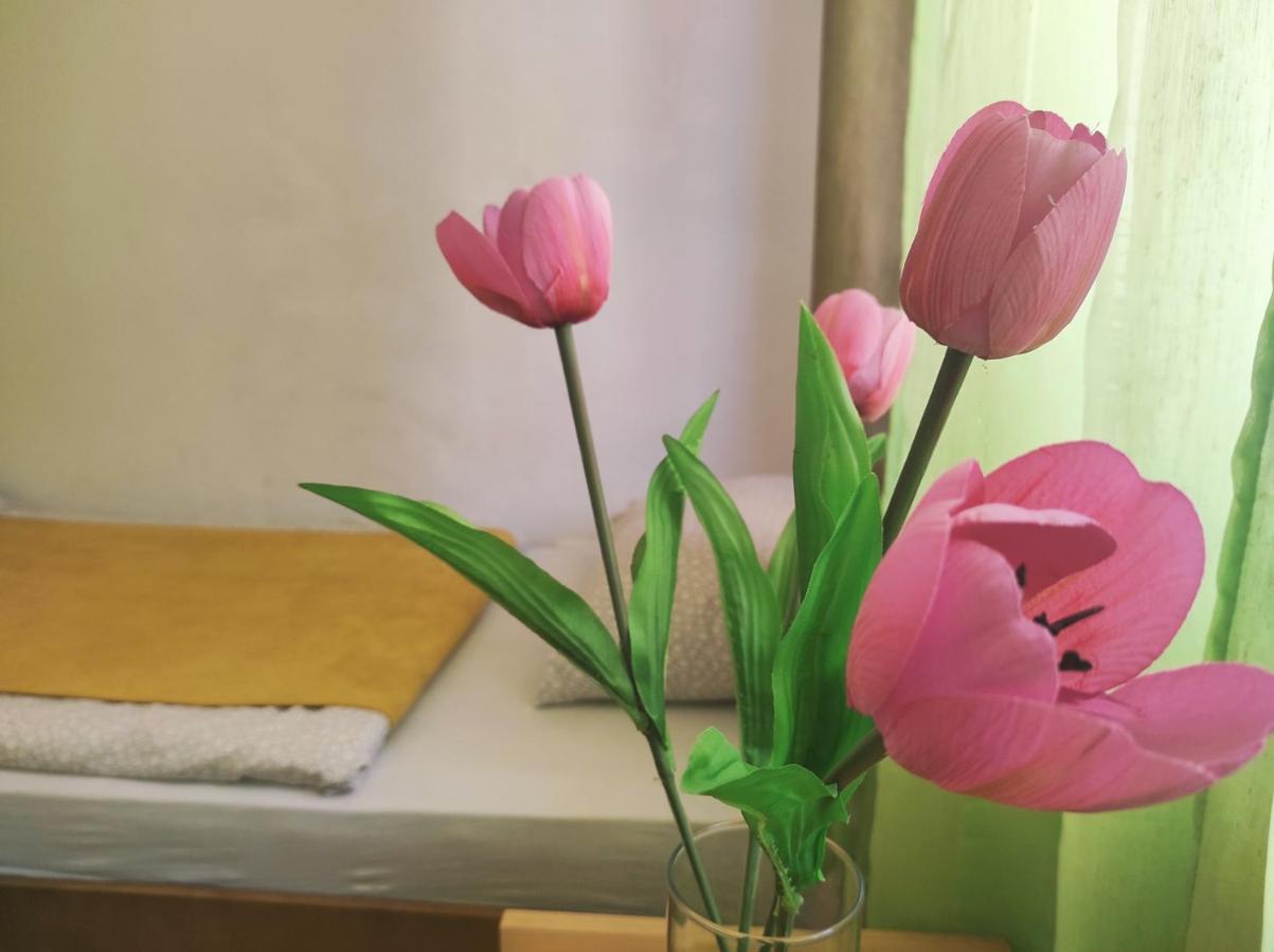 Apartment Katica Мостар Екстериор снимка
